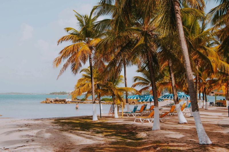 Plage tropicale relaxante en Guadeloupe avec palmiers et chaises longues sous parasols.