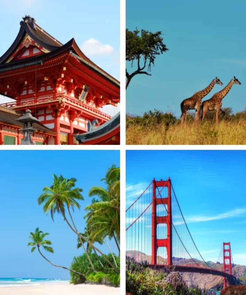 découvrir les 4 coins du monde au dela des frontières: road trip, safari, séjour, city trip
