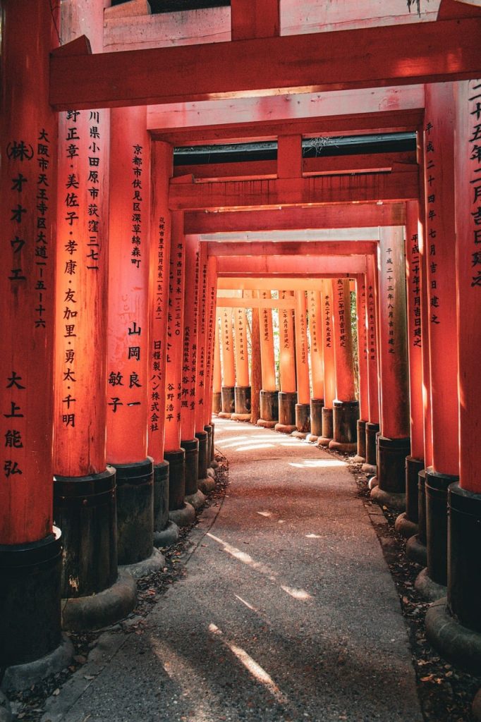 shrine, torii, japan, fushimi, nature, temple, kyoto, fushimi inari, , culture japonaise, asia, architecture, traditional, fushimi-inari